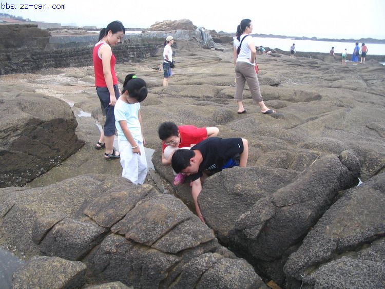 2007-7/200771410313477520.jpg