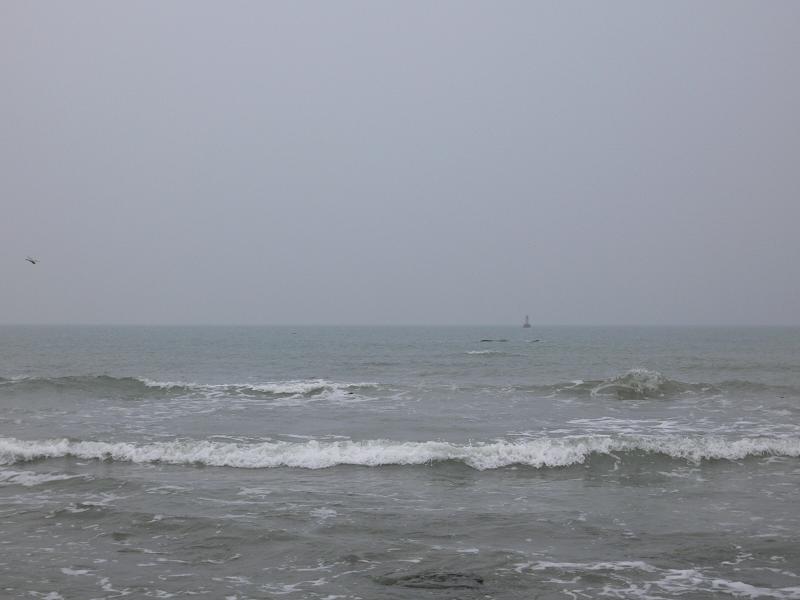 2007-9/2007952243699307.jpg