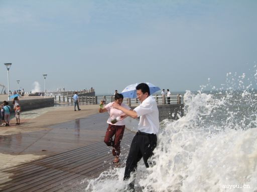 2008-3/2008321718088999.jpg