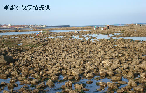 礁石 1.jpg