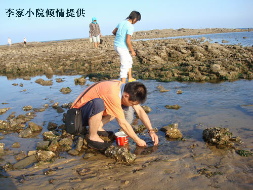 赶海的人 2.jpg