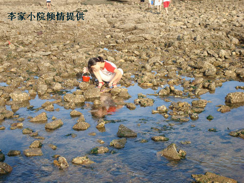 赶海的人 3.jpg