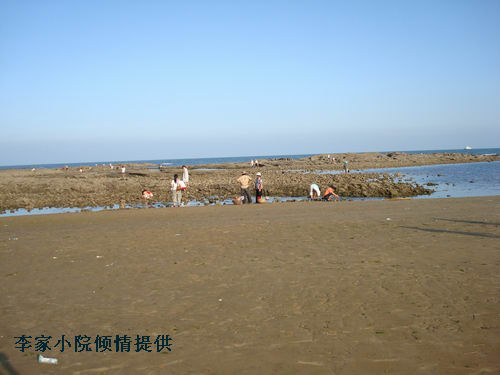 赶海的人 1.jpg