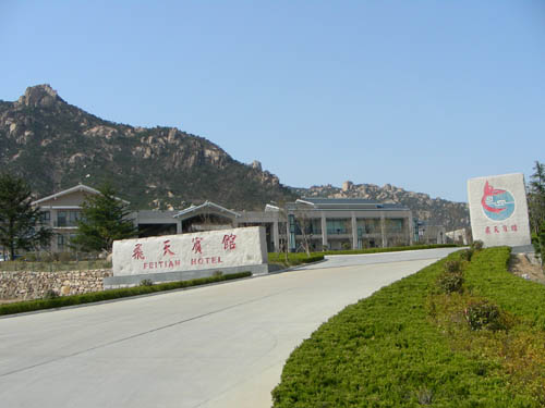 ft02.jpg