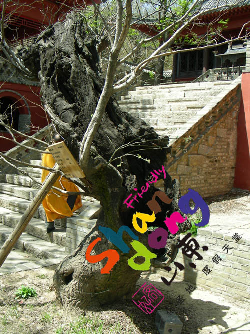 ds1.jpg