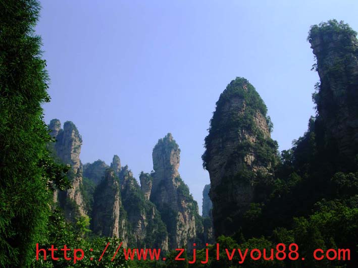 20090327_376406ea87e638c8baf0kmajly9npiwe副本.jpg