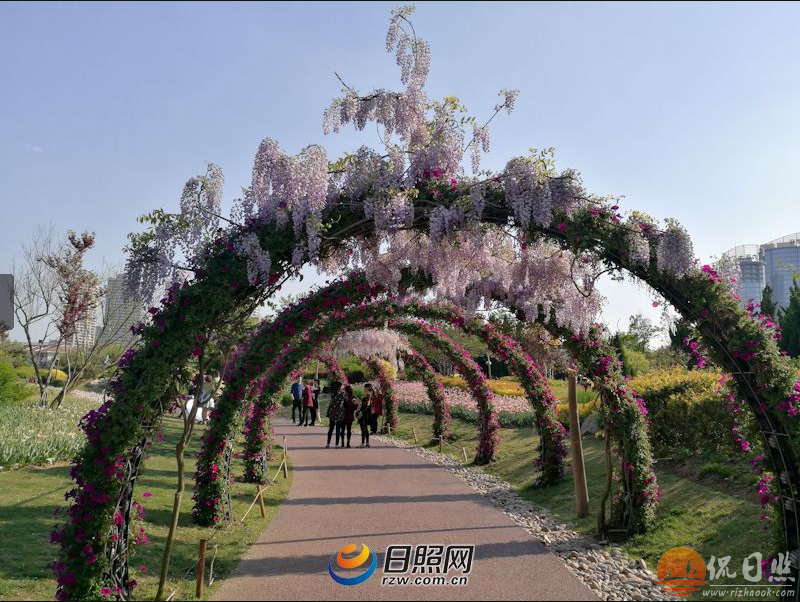 QQ截图20170428085232.png