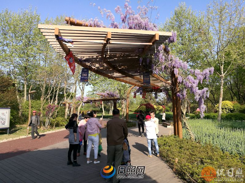 QQ截图20170428085213.png