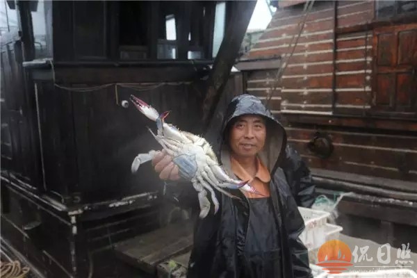 rzmei11.webp.jpg