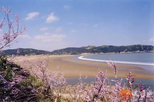 rzmei13.webp.jpg