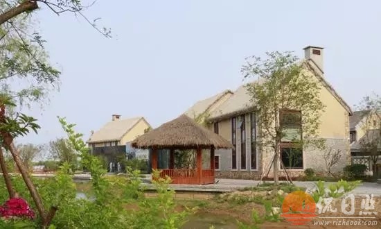 xiaozhen14.webp.jpg