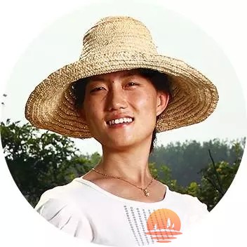 shi.webp.jpg