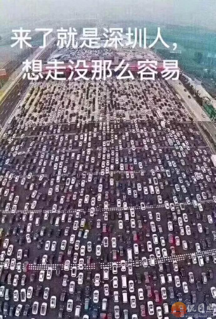 jia2.jpg