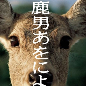  Ҳһȥ